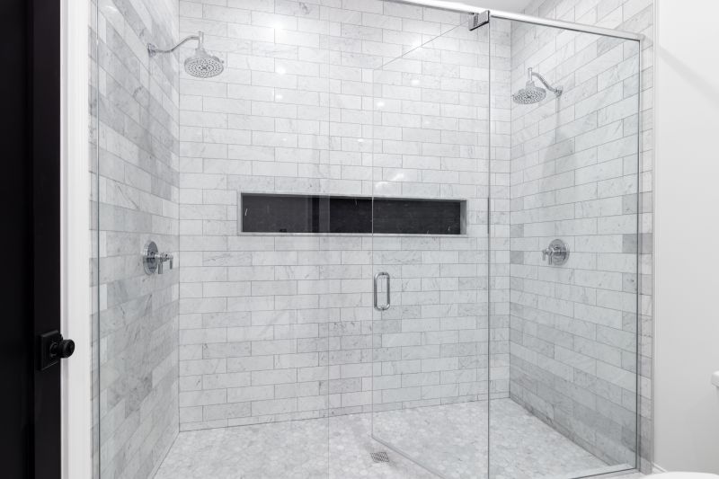 Multi-Function Shower Panels